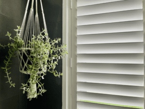 plantation shutters